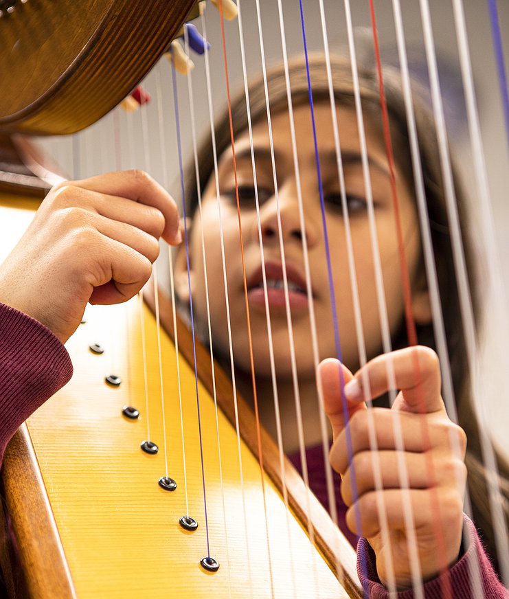 Harp