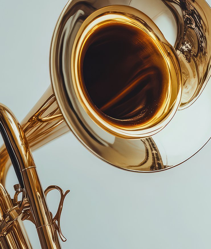 Bariton / Euphonium