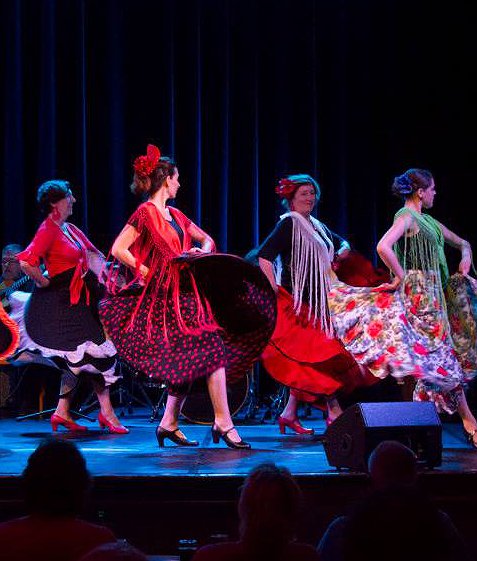 Flamencodans beginners met live muziek