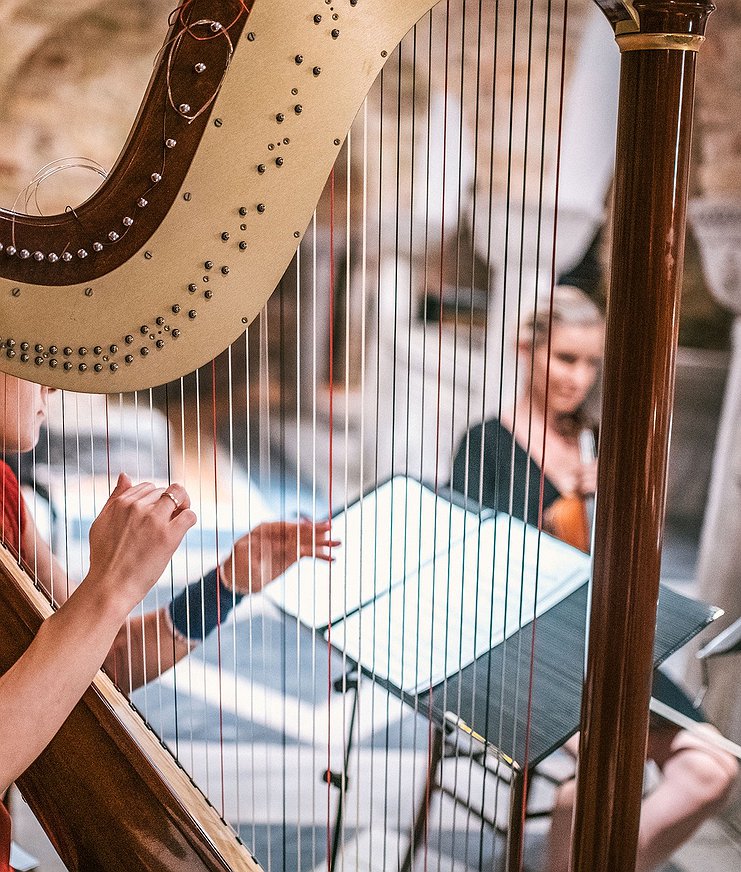 Harp