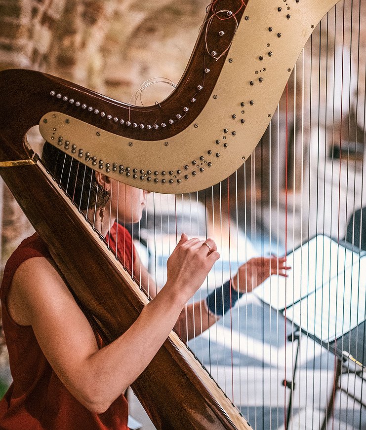 Introductiecursus Harp