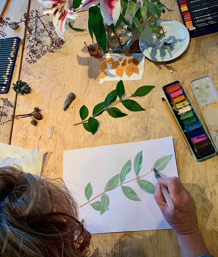 Workshop Botanisch Tekenen: Kunst & Natuur