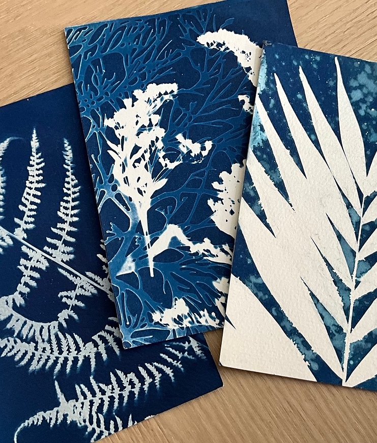 Workshop Cyanotype