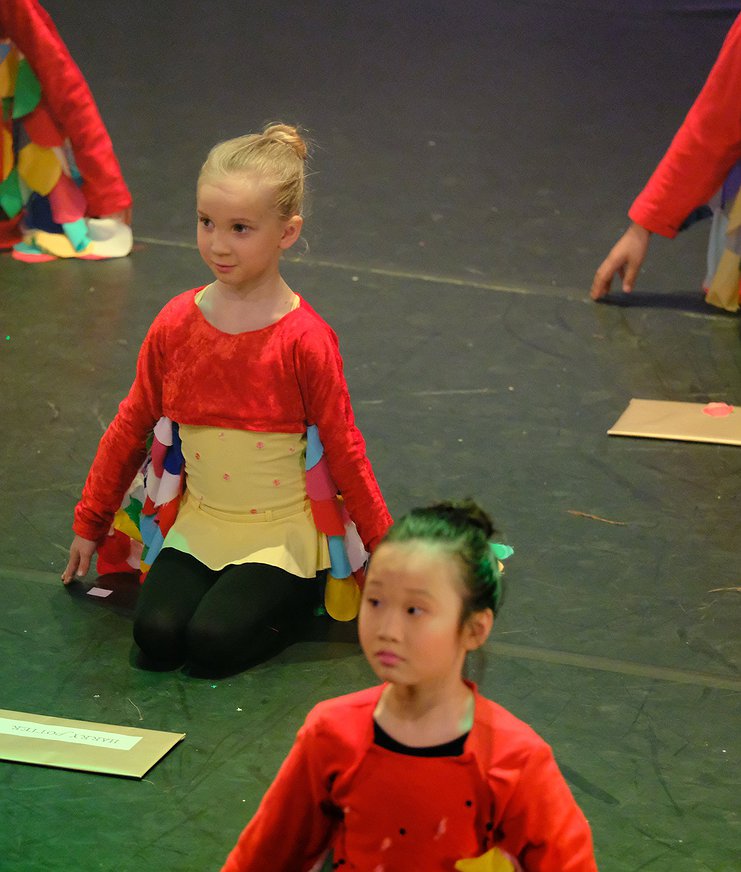 Dansmix (jazz, modern, klassiek en musical dans)